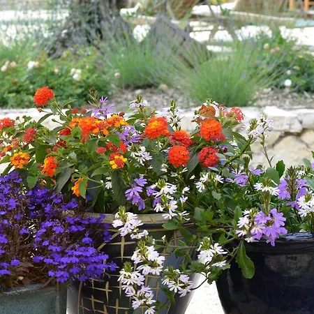 Bed & Breakfast Hameau D'hotes La Roseraie-drome